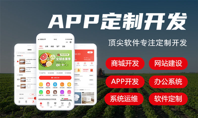怎样找家靠谱的3377官方网站商城开发公司进行开发？