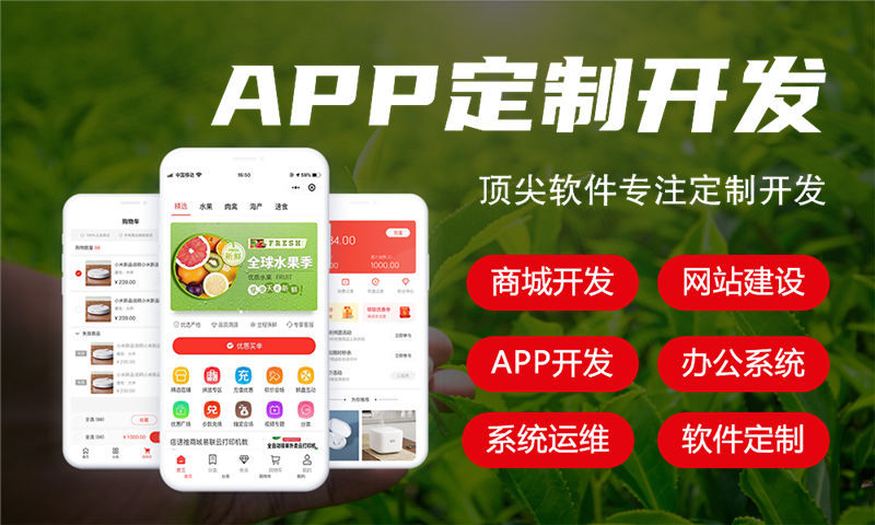 论坛3377体育在线开发需要具备哪些功能？