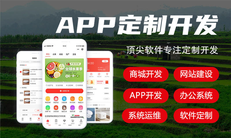 开发公司是如何确保APP3377官方网站商城项目开发质量