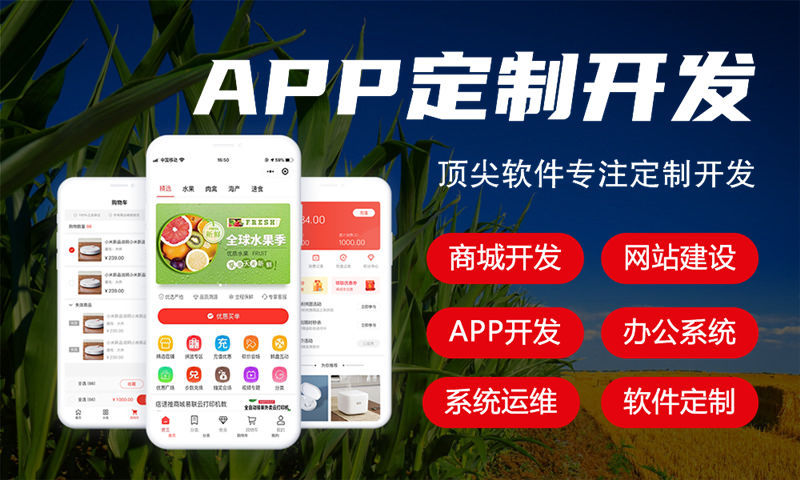 选择靠谱的会员3377体育网站软件开发公司要点是什么？