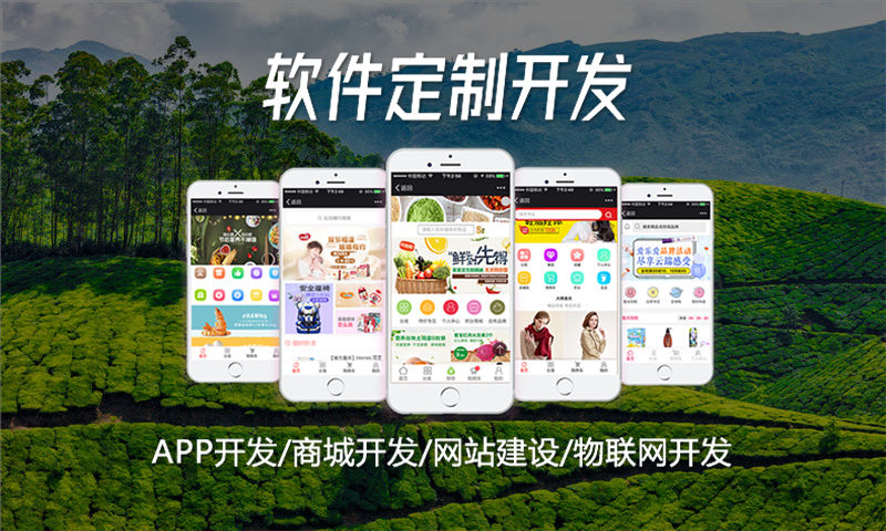 辽宁双轨3377体育在线系统开发公司推荐关系图谱架构方案