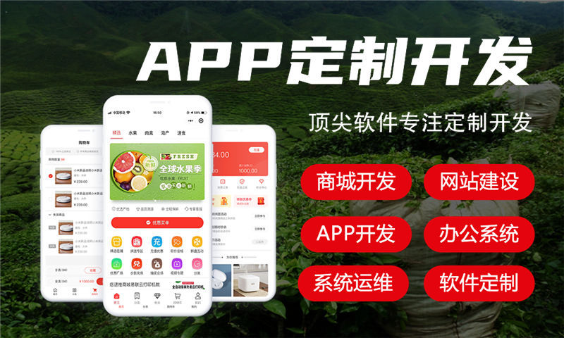 3377体育在线房地产系统开发解决方案及功能计划书