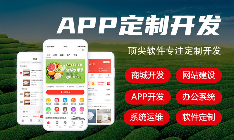 南京项目管理系统解决方案及功能计划书