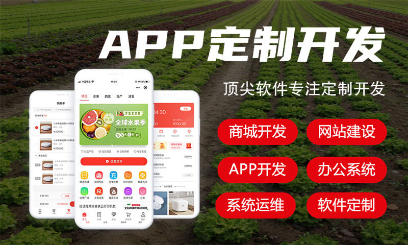 3377体育全站电商系统解决方案与功能计划书