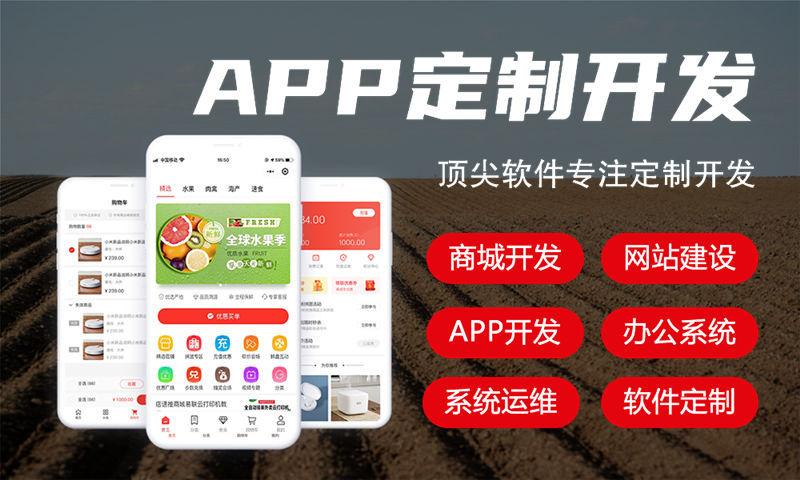 3377体育官网网址政务系统开发解决方案与功能计划书
