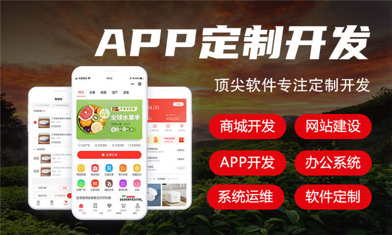 辽源分销商城系统开发为企业打开新市场大门