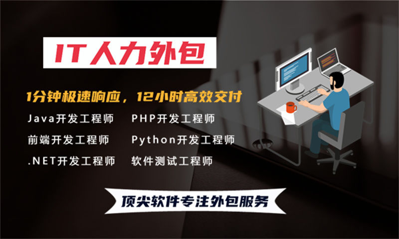 绥化企业提供高效解决方案：选择专业的IT人力外包服务