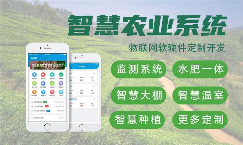 3377体育官方入口单片机项目解决方案及功能计划书