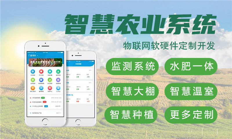 3377体育全站单片机解决方案及功能计划书