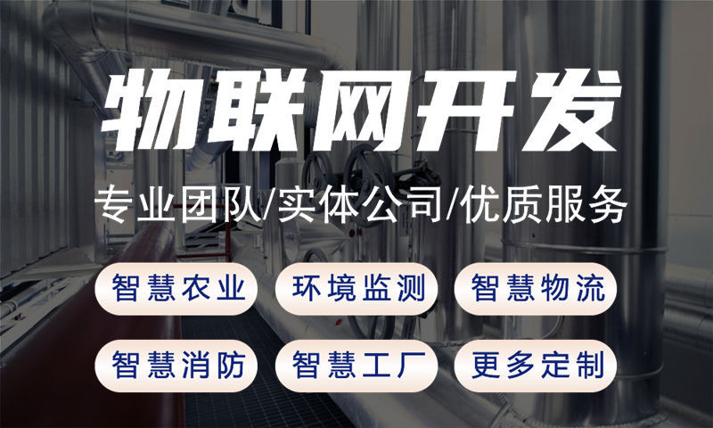 3377体育网站单片机系统解决方案及功能计划书