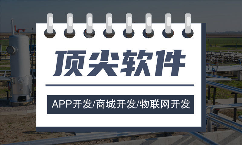 新疆项目管理系统解决方案及功能计划书