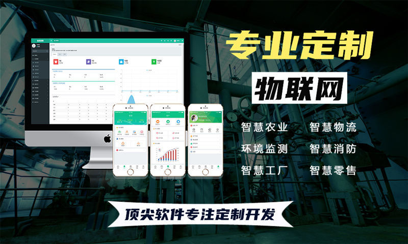 3377体育全站物联网解决方案: 智慧城市全方位监测与保护