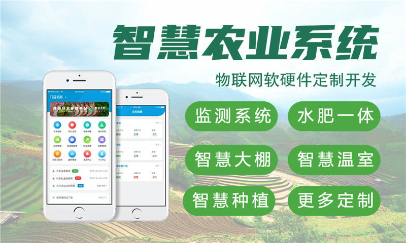 3377体育网站单片机开发解决方案与功能计划书——涵盖STM32、ESP8266等技术