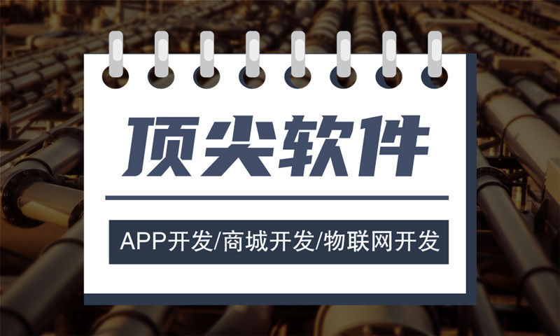上海企业网站建设助力中小企业突破困境实现数字化转型