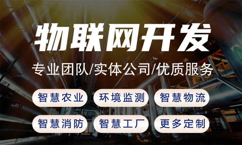 3377体育官网入口最新物联网系统开发解决方案：多场景应用的智能监测与控制功能计划书
