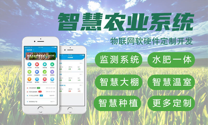 南京3377官方网站网开发解决方案：助力企业数字化转型，打造智能硬件新标杆