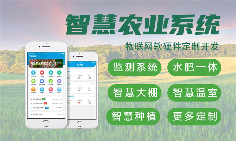 南京3377官方网站网开发解决方案：嵌入式性能优化助力企业数字化转型